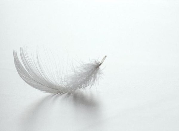 Падающие перья