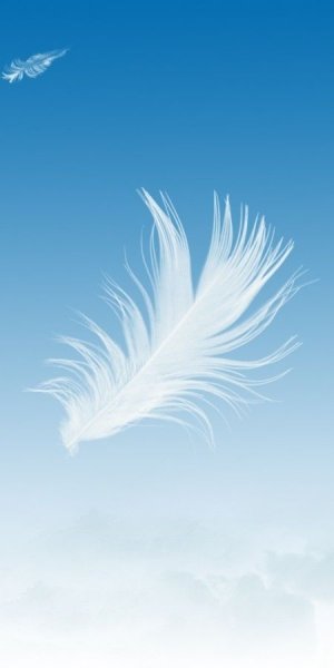 Перья летят