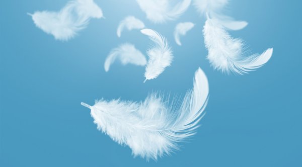 Белое перо в небе