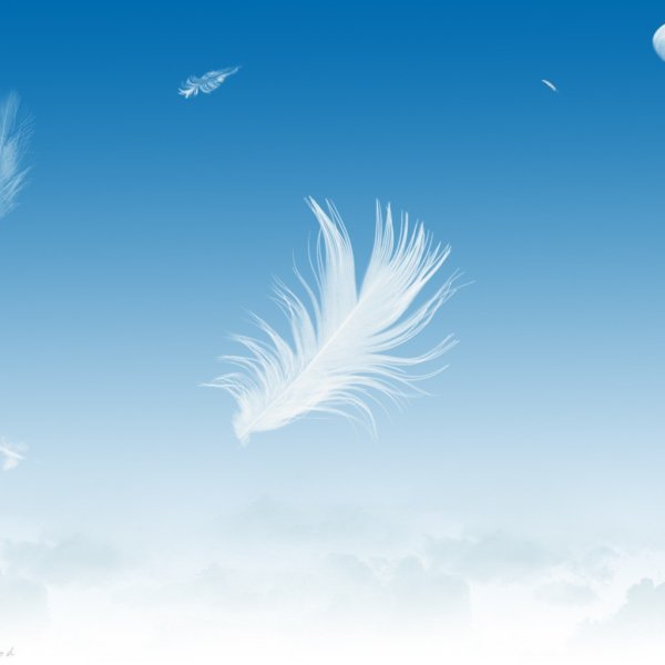 Небо покрытое пёрышком