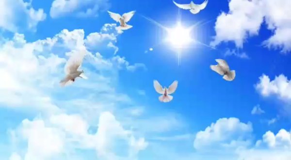 Голубое небо с голубями