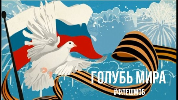День Победы голуби