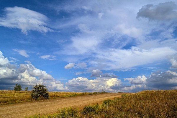 Открытка мирного неба