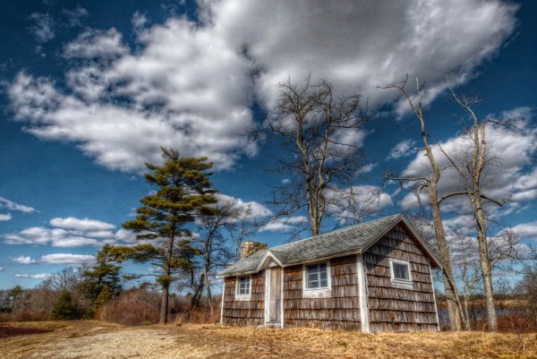 Дом в лесу на фоне неба