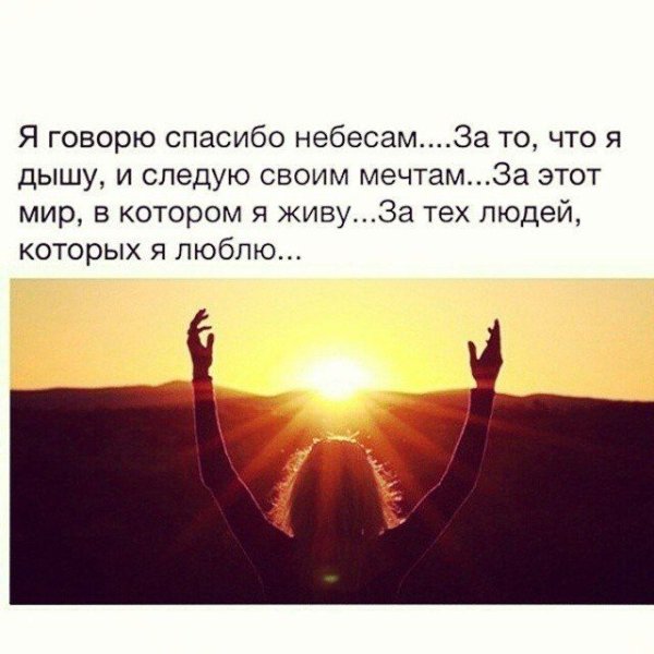 Небо на ладони