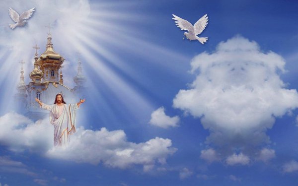 Желаю мира и добра