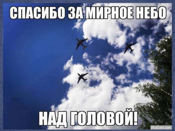 Солнце в ладошках