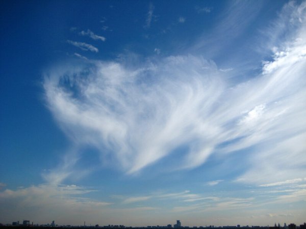 Закат в поле