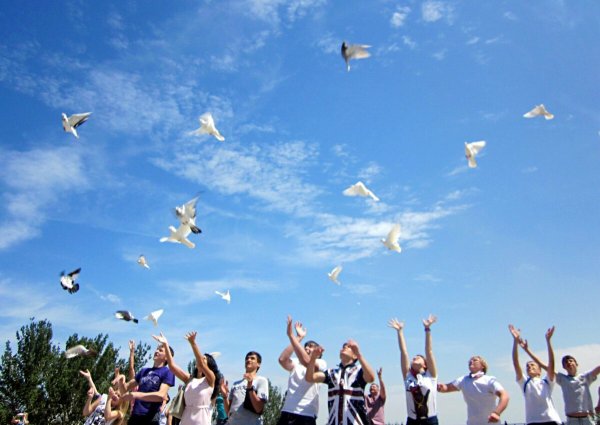 Белый голубь