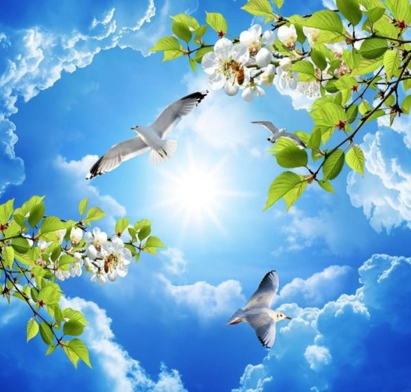 Мипннго неба надголовой