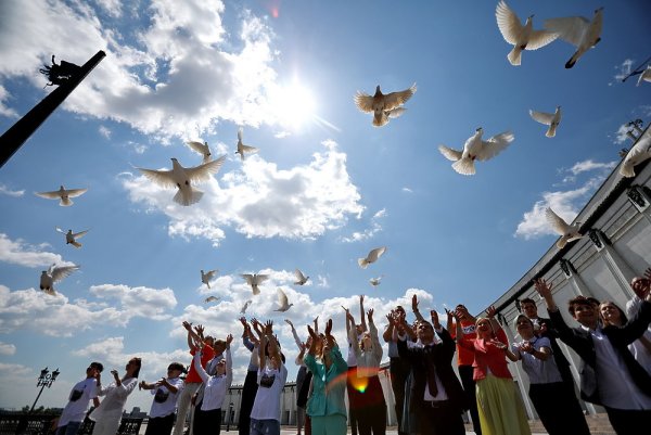 Голубь летит