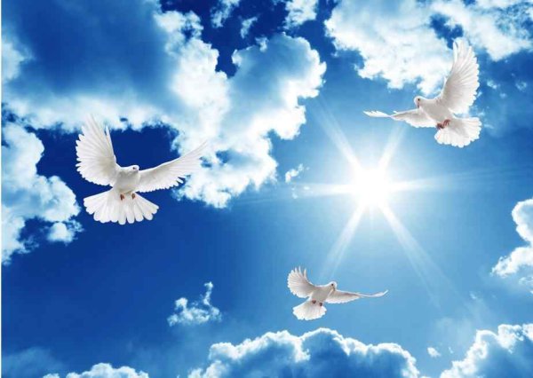 Мирное небо