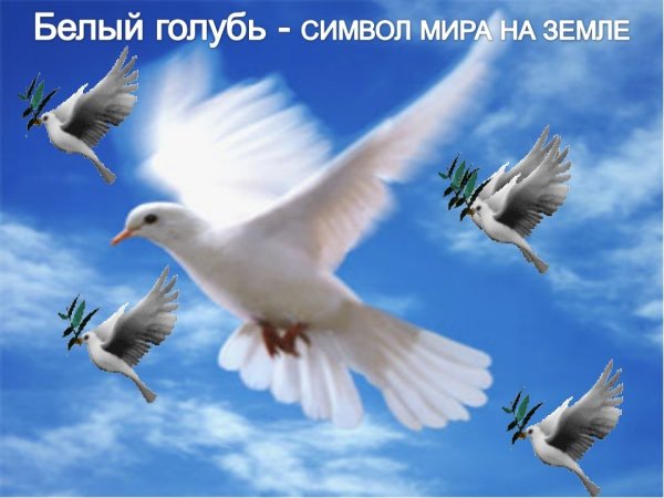 Красивое небо с птицами