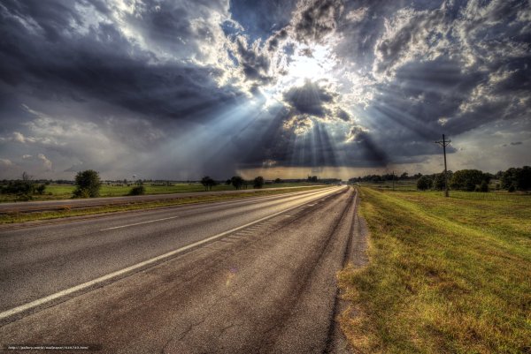 Тропинка в поле