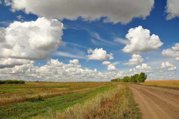 Бескрайние поля
