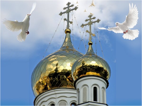 Голуби над Церковью