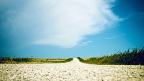 Природа светлая