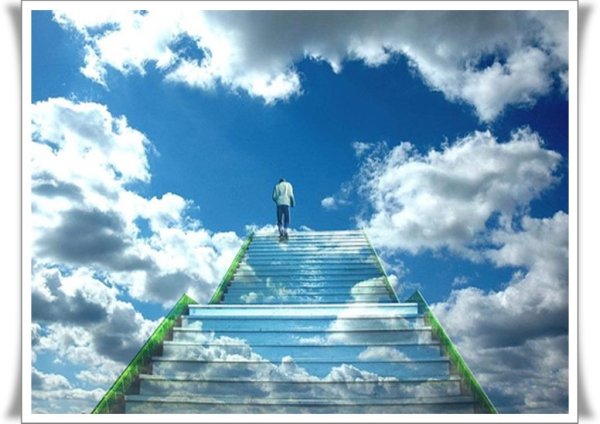 Лестница жизни