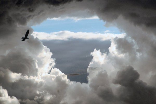 Небо смерть