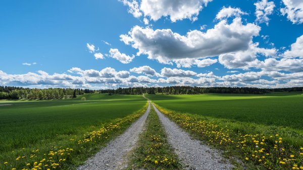 Природа поле