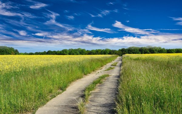 Проселочная дорога