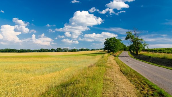 Равнинная дорога