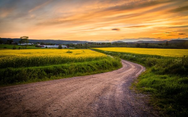 Пейзаж с дорогой