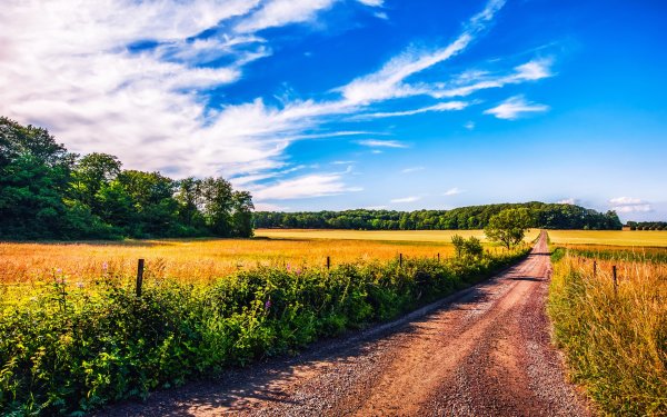 Летний пейзаж
