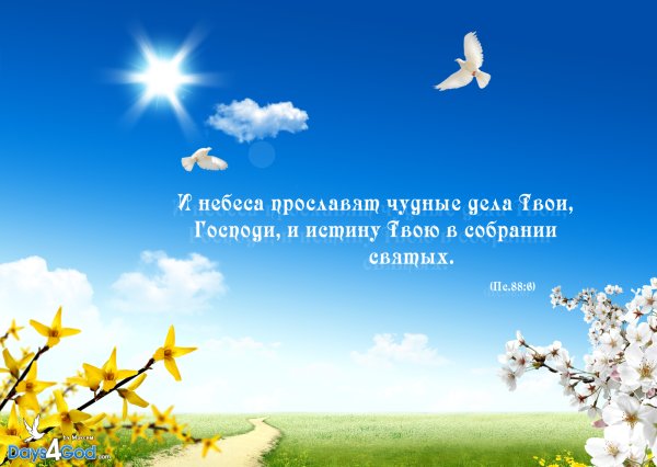 Рассвет души