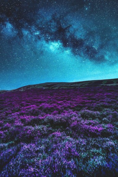 Фиолетовое небо
