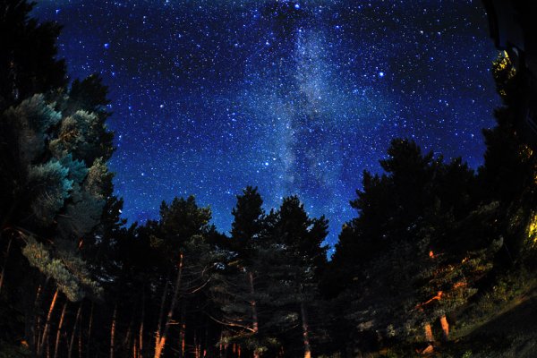 Ночное небо со звездами