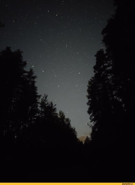 Звездное небо