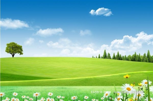 Поляна и небо