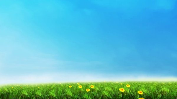 Небо трава солнце