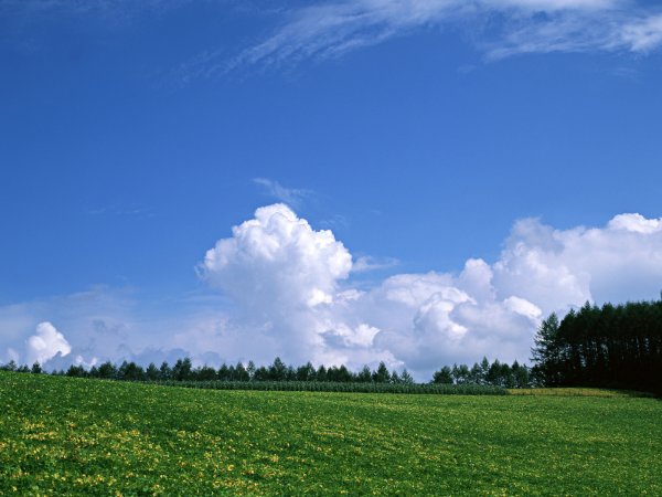 Небо зеленая Поляна