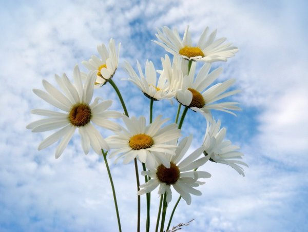 Небо солнце