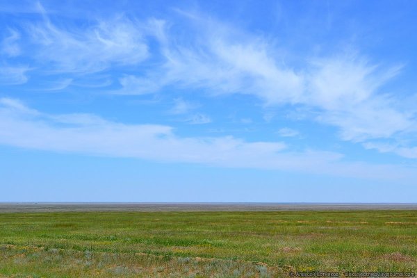 Поле и голубое небо