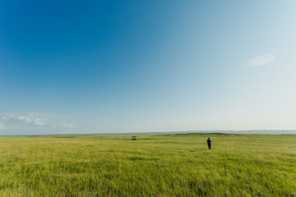 Сарыозекская степь