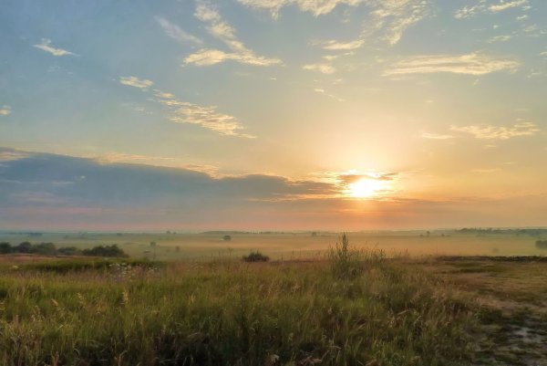 Степи раздольные Алтайского края