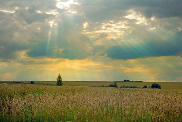 Небо Горизонт
