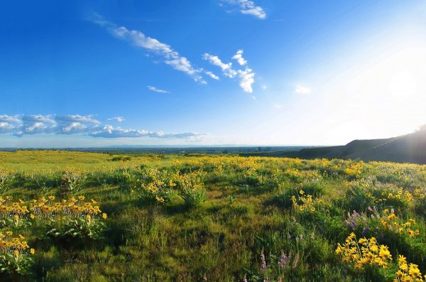 Закат в степи