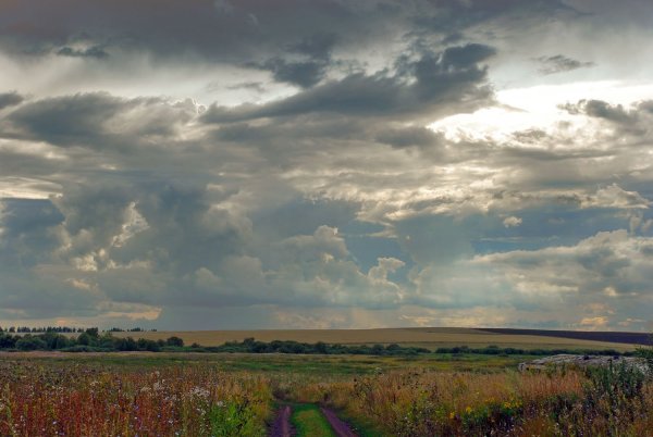 Пейзаж степи