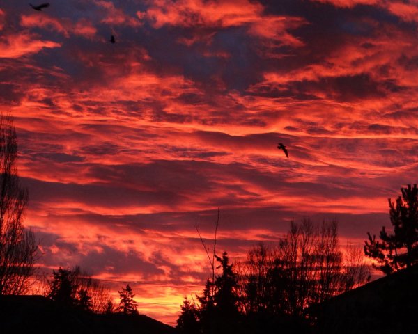 Багровый закат