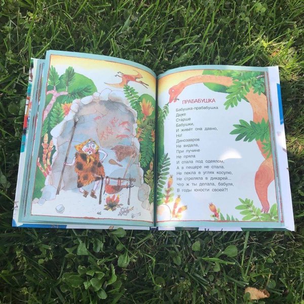 С неба падали старушки