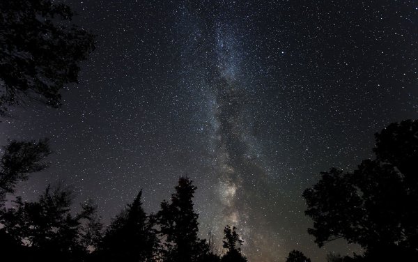 Ночная природа