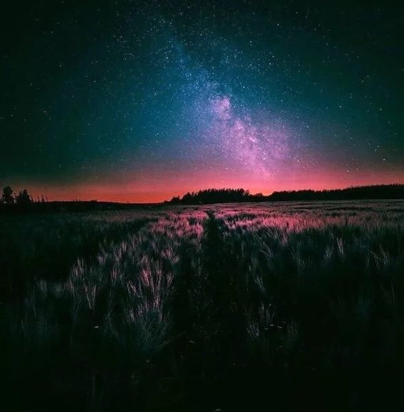 Эстетика ночи