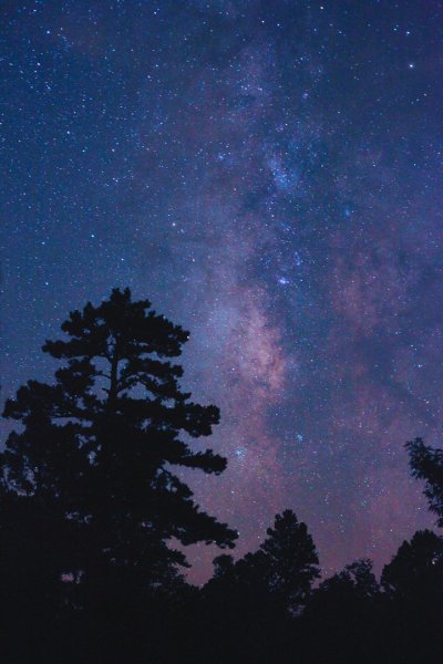 Ночная природа