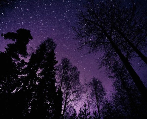 Звездное небо на крыше