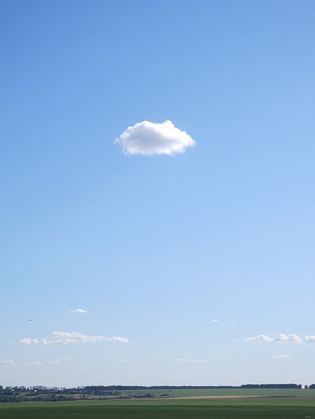 Птицы в небе