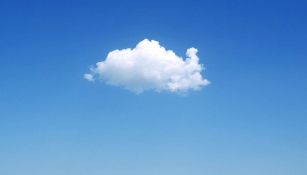 Одинокое дерево